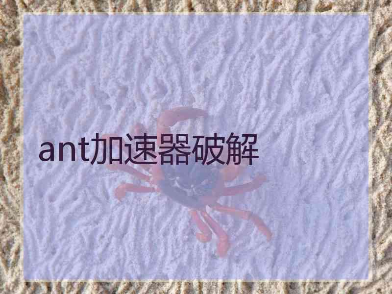 ant加速器破解