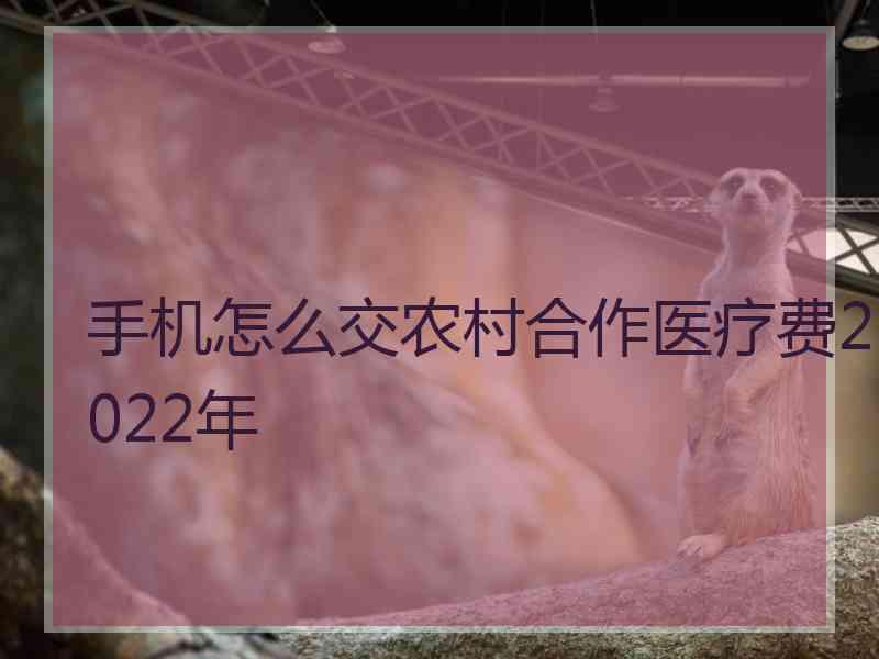 手机怎么交农村合作医疗费2022年