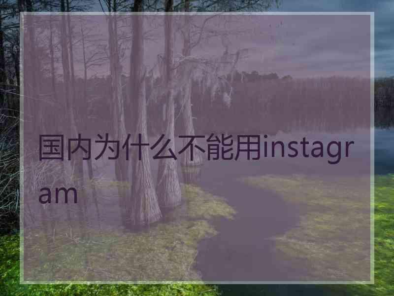 国内为什么不能用instagram