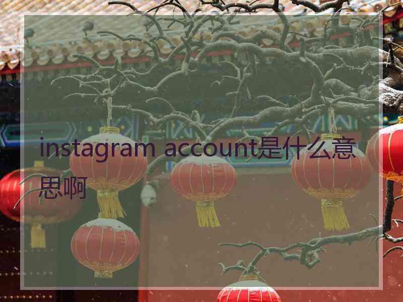 instagram account是什么意思啊