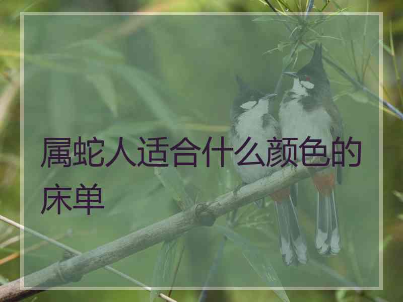 属蛇人适合什么颜色的床单