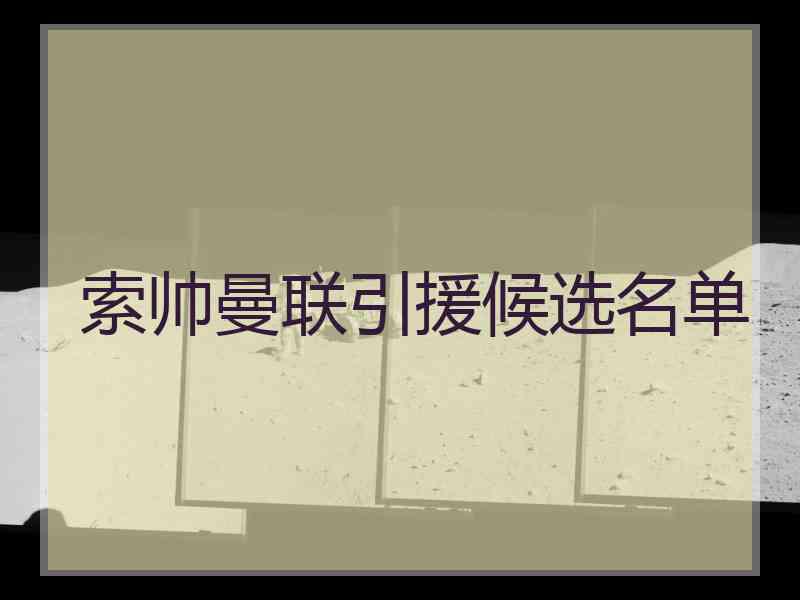 索帅曼联引援候选名单