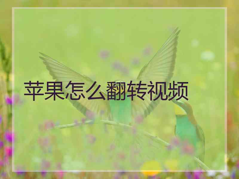 苹果怎么翻转视频