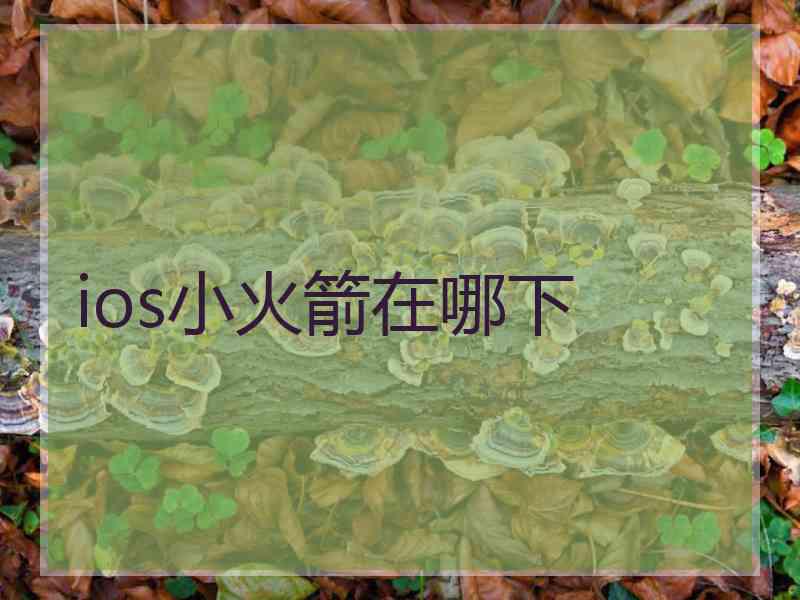 ios小火箭在哪下