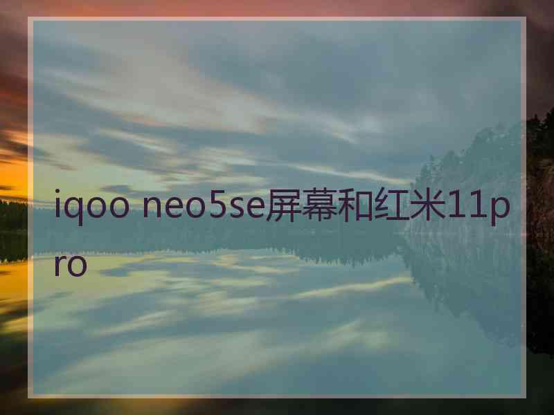 iqoo neo5se屏幕和红米11pro