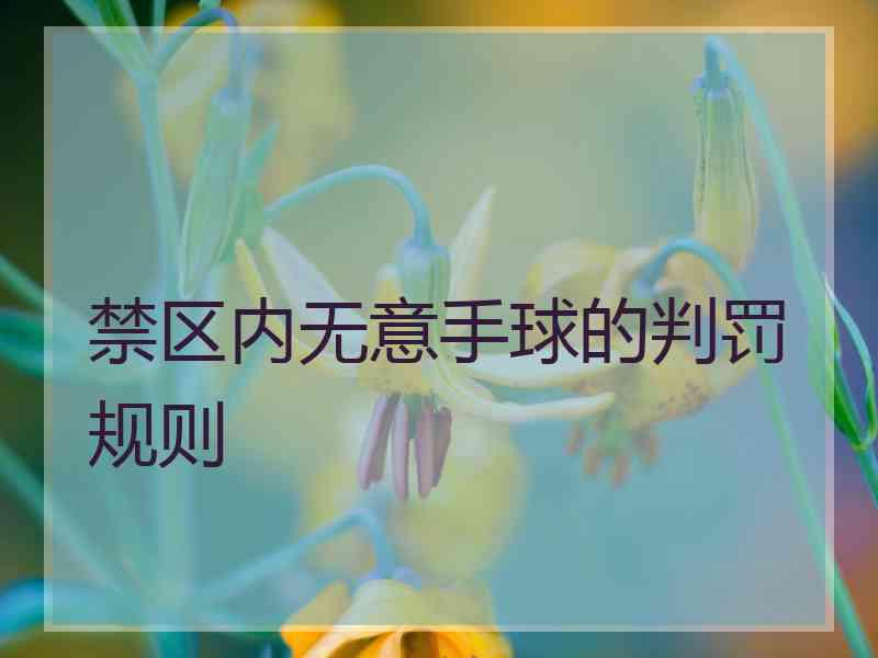 禁区内无意手球的判罚规则