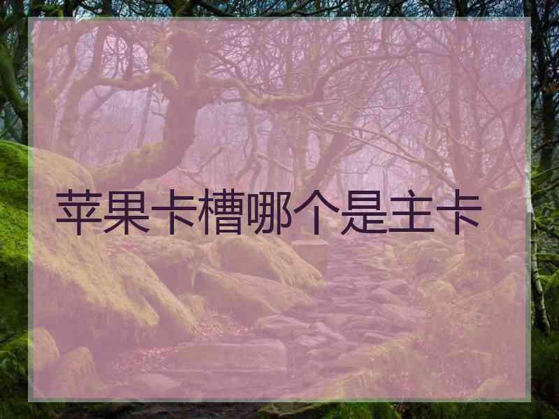 苹果卡槽哪个是主卡