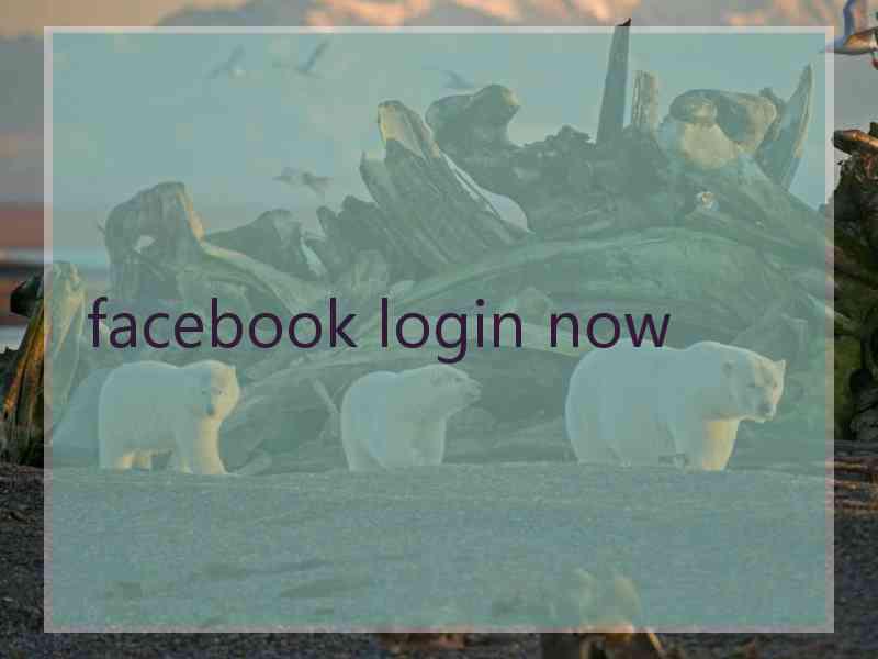 facebook login now