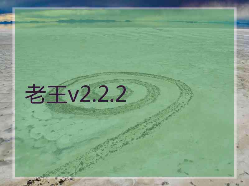 老王v2.2.2