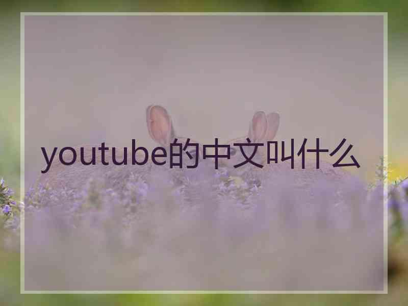 youtube的中文叫什么