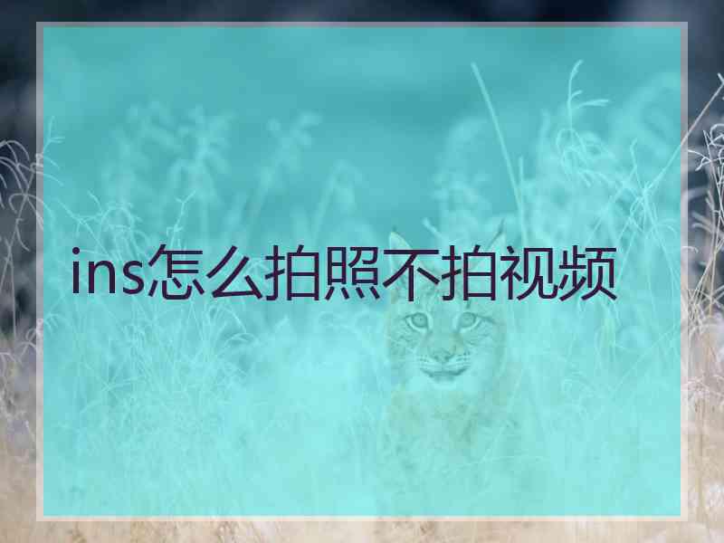 ins怎么拍照不拍视频