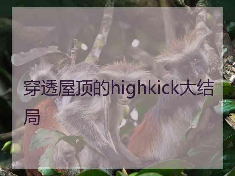 穿透屋顶的highkick大结局