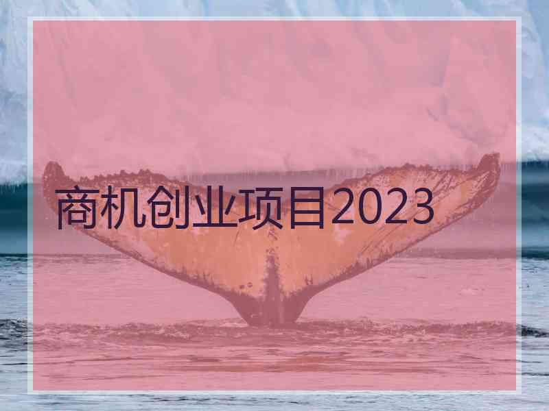 商机创业项目2023