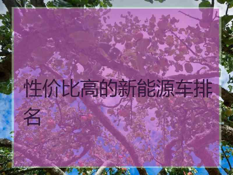 性价比高的新能源车排名