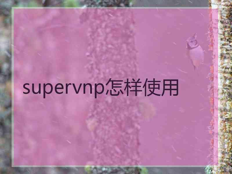 supervnp怎样使用