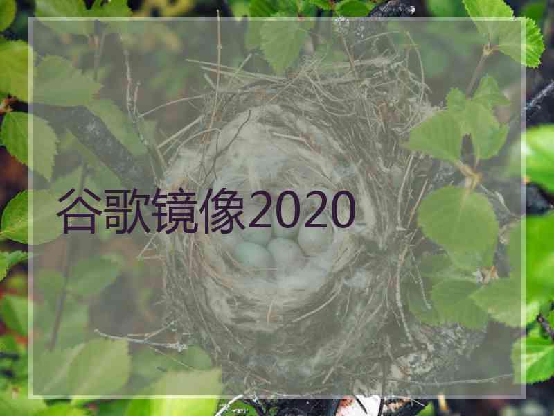 谷歌镜像2020