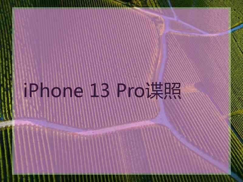 iPhone 13 Pro谍照