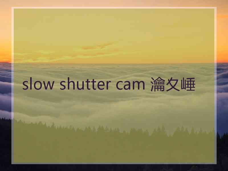 slow shutter cam 瀹夊崜