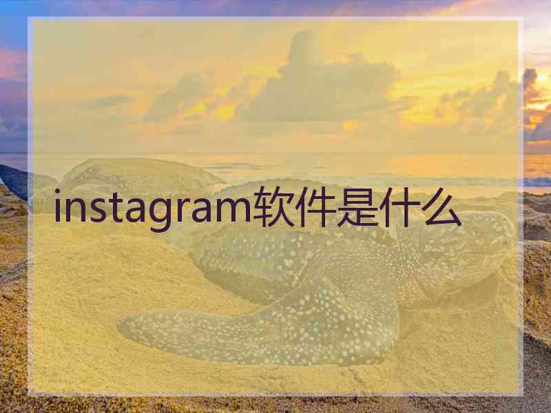 instagram软件是什么