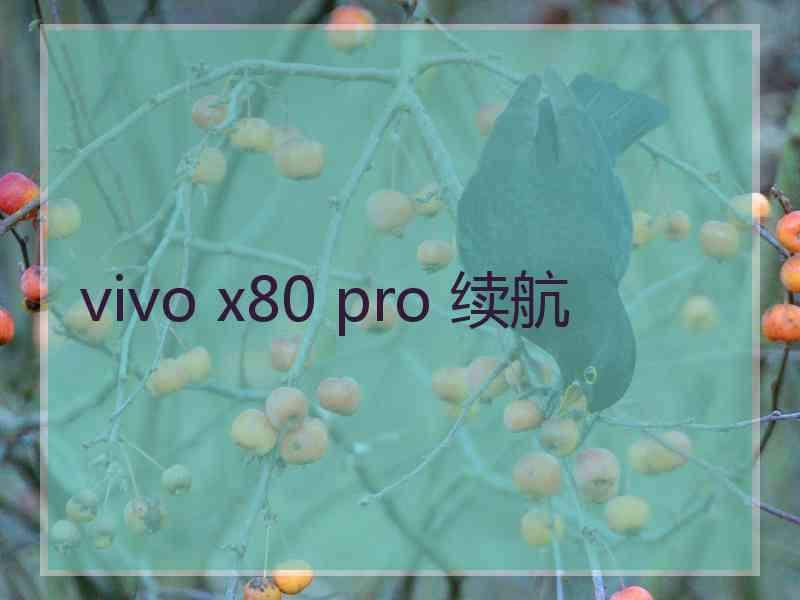 vivo x80 pro 续航