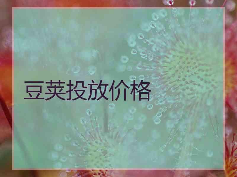 豆荚投放价格