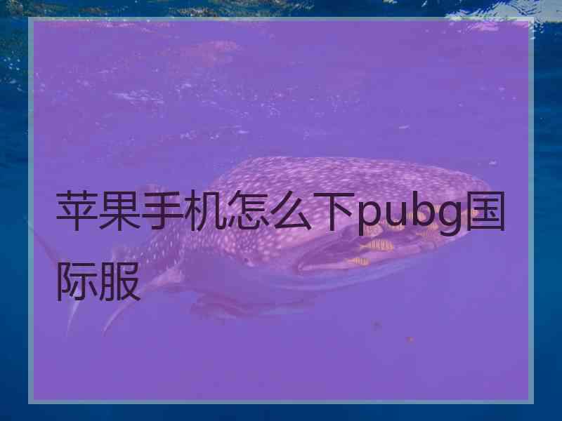 苹果手机怎么下pubg国际服