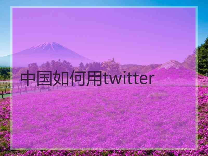 中国如何用twitter