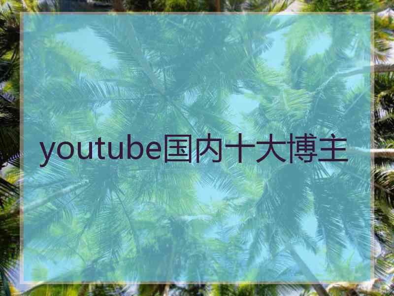 youtube国内十大博主