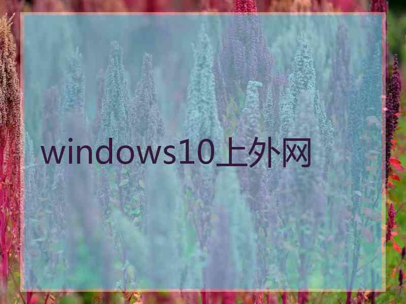 windows10上外网