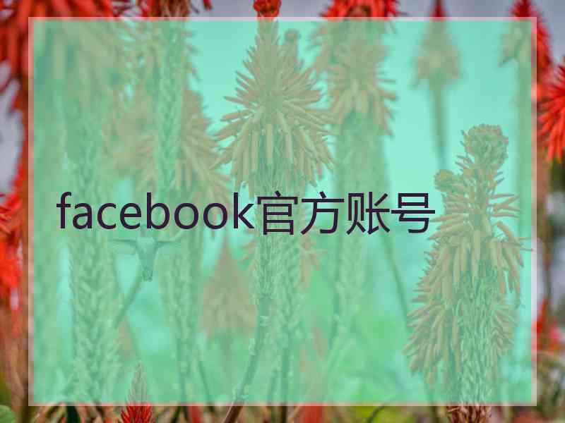 facebook官方账号