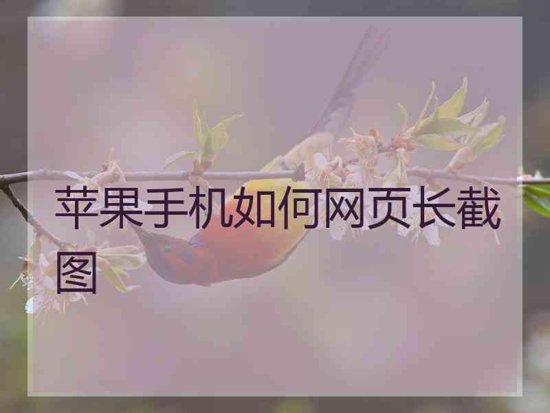 苹果手机如何网页长截图