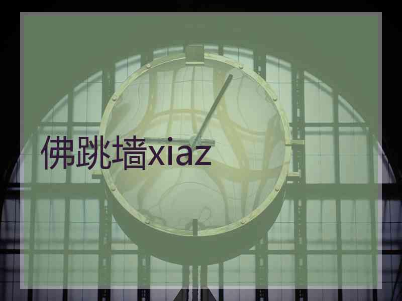 佛跳墙xiaz