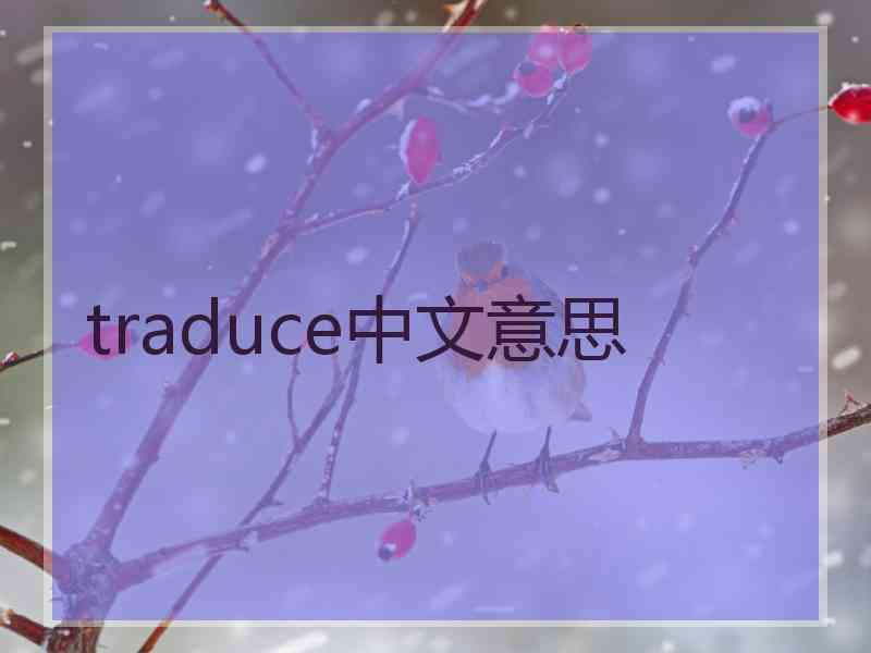 traduce中文意思