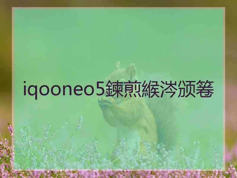 iqooneo5鍊煎緱涔颁箞