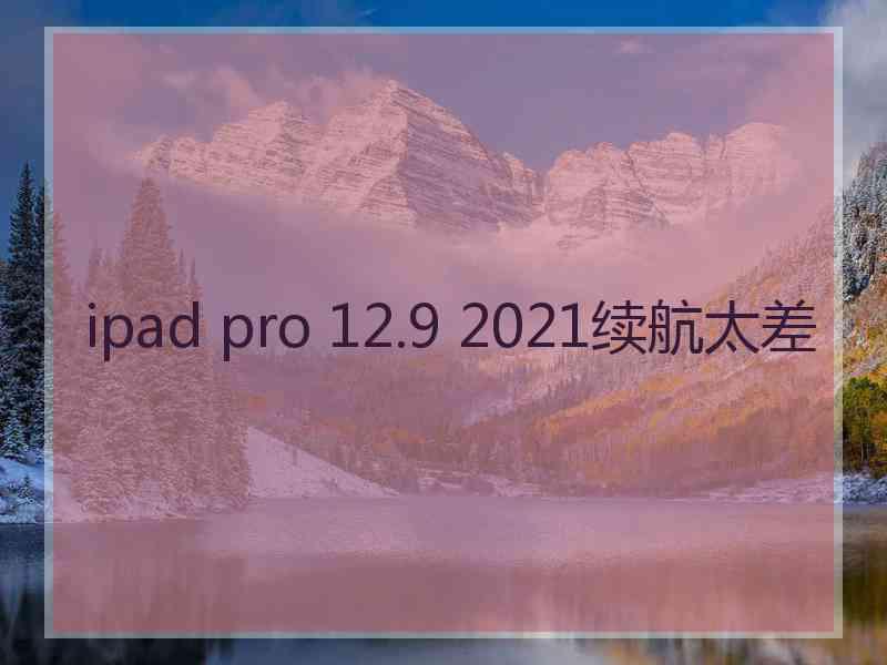 ipad pro 12.9 2021续航太差