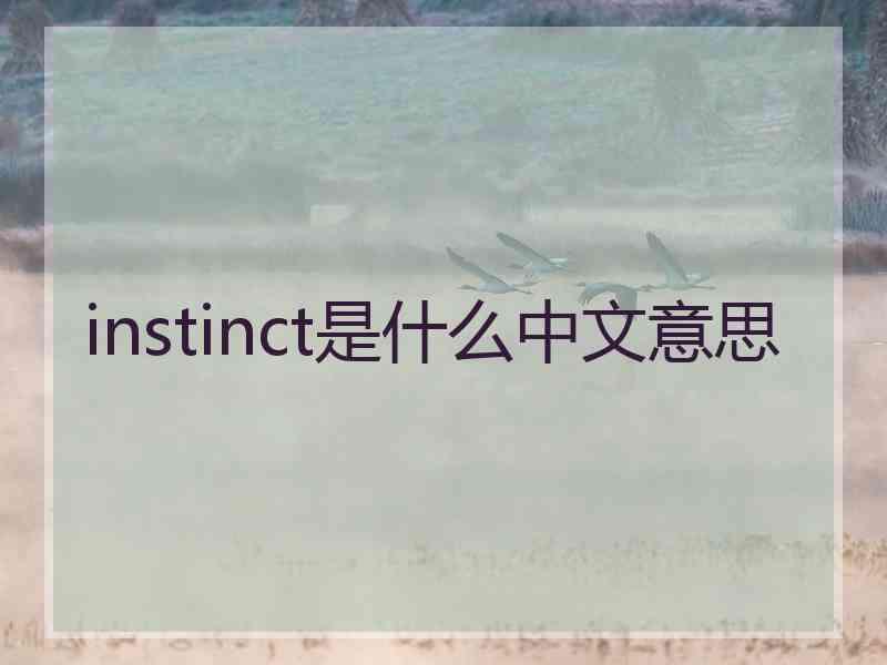 instinct是什么中文意思