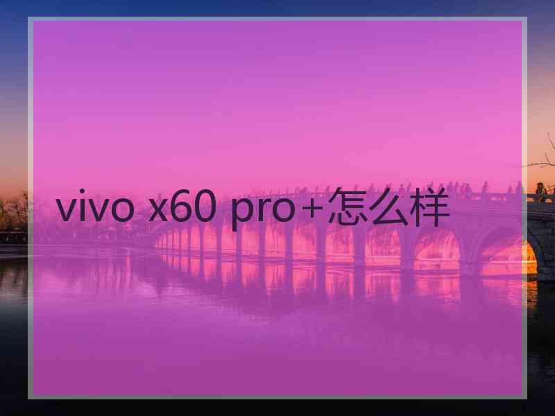 vivo x60 pro+怎么样