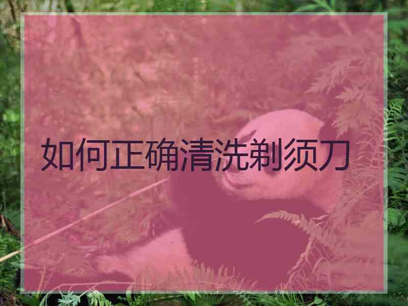 如何正确清洗剃须刀