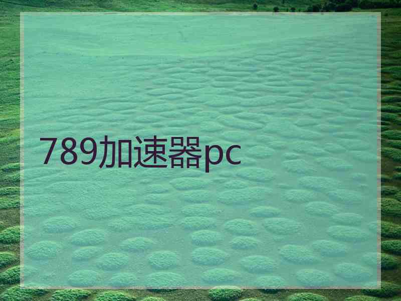 789加速器pc