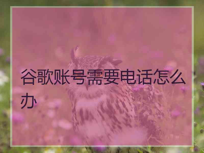 谷歌账号需要电话怎么办