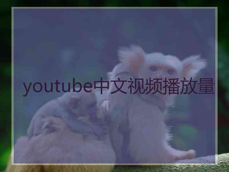 youtube中文视频播放量