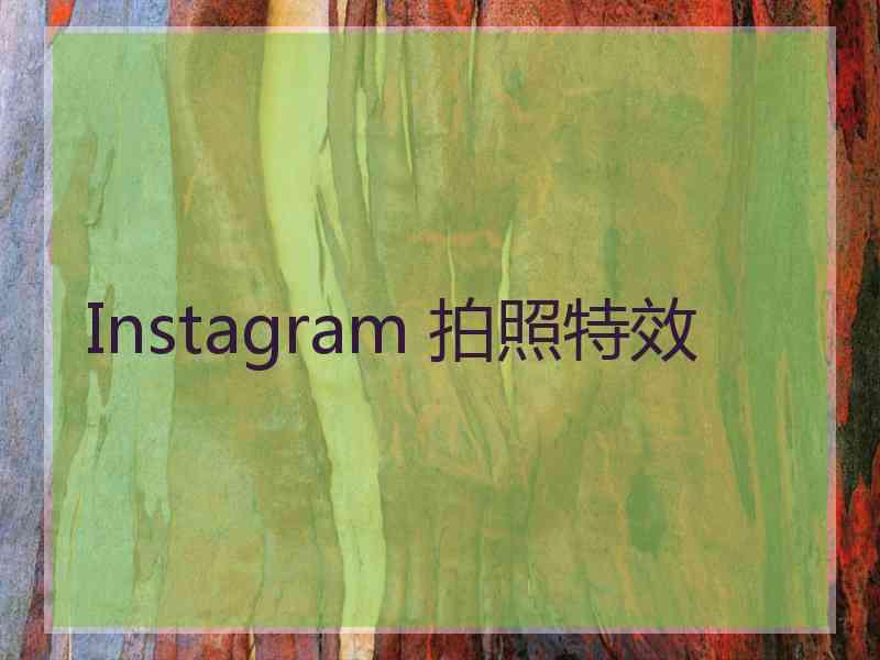 Instagram 拍照特效