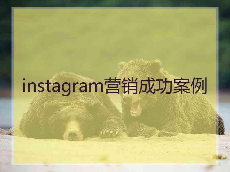 instagram营销成功案例