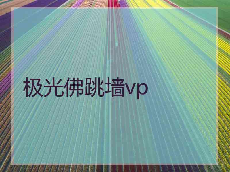 极光佛跳墙vp