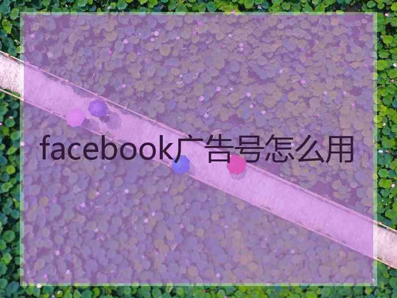 facebook广告号怎么用