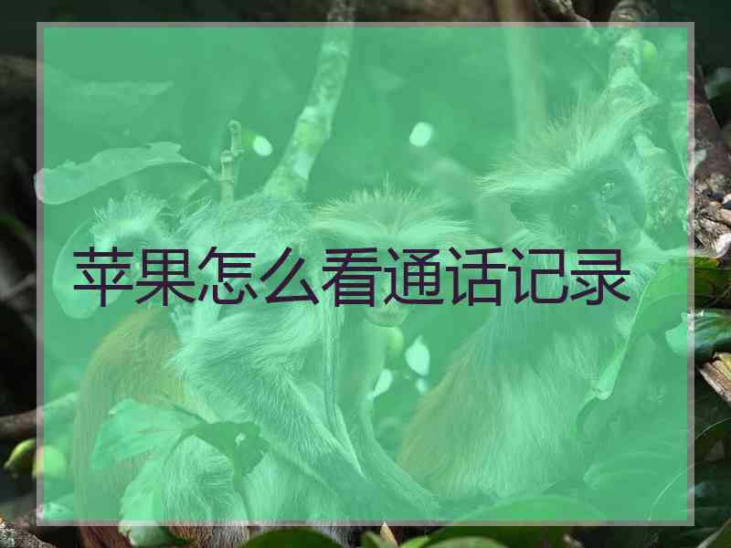 苹果怎么看通话记录