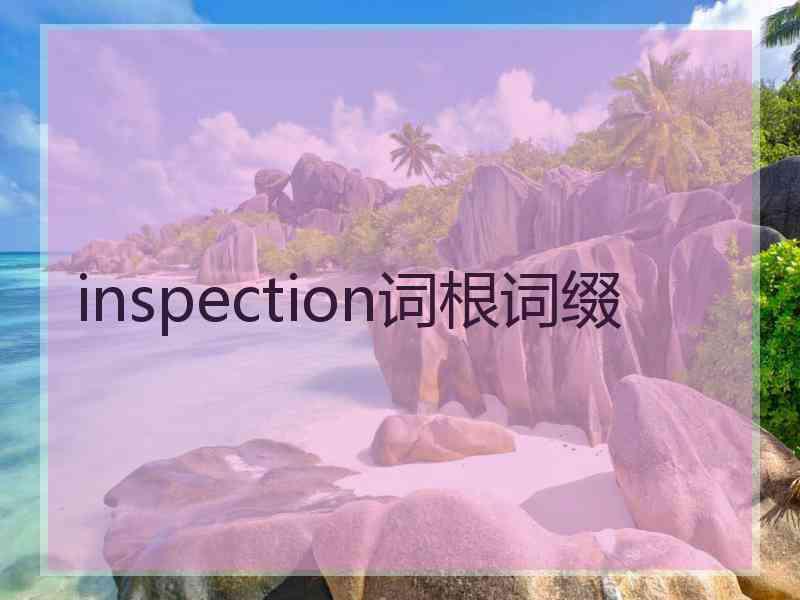 inspection词根词缀