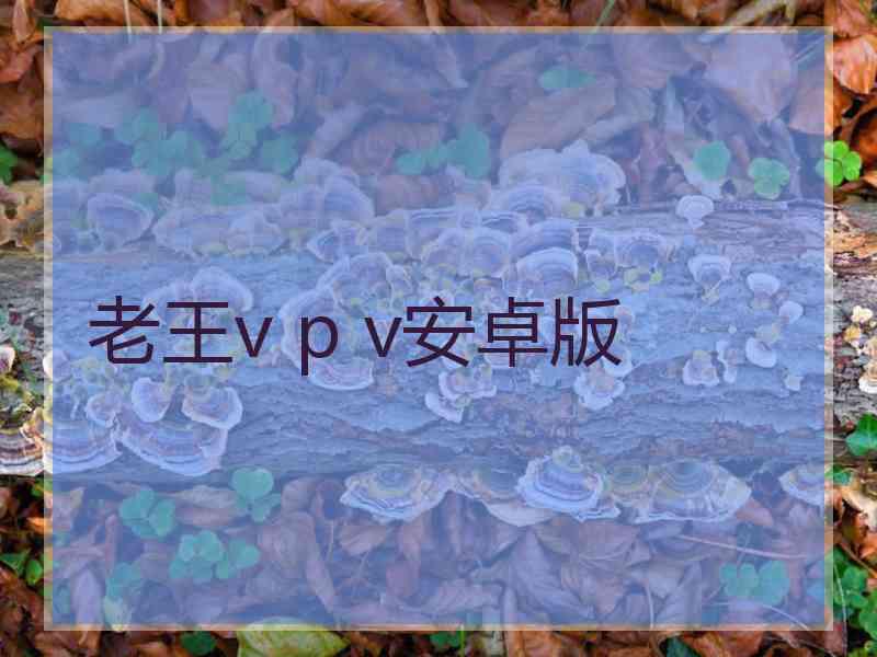 老王v p v安卓版