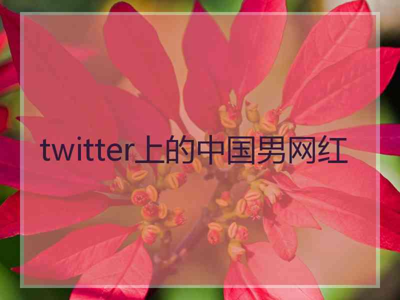 twitter上的中国男网红