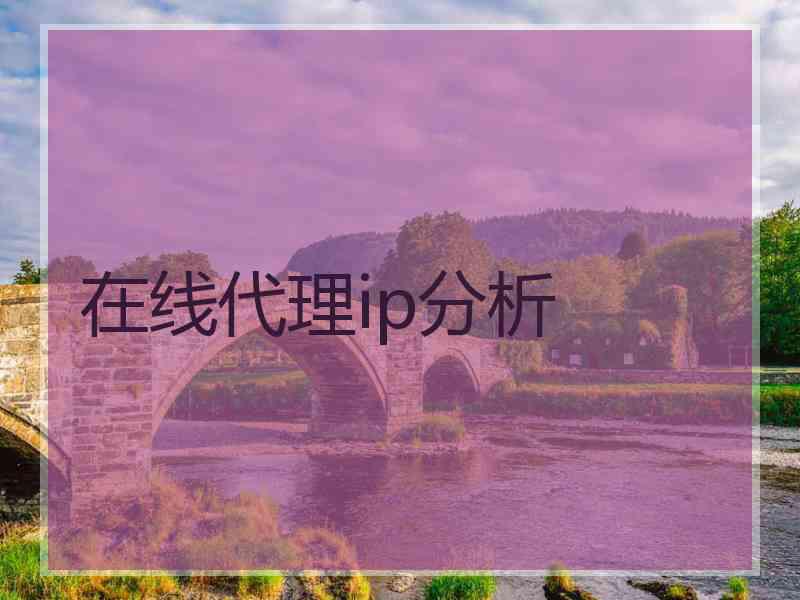 在线代理ip分析